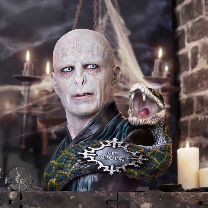 productImage-19710-harry-potter-voldemort-nagini-bueste.jpg