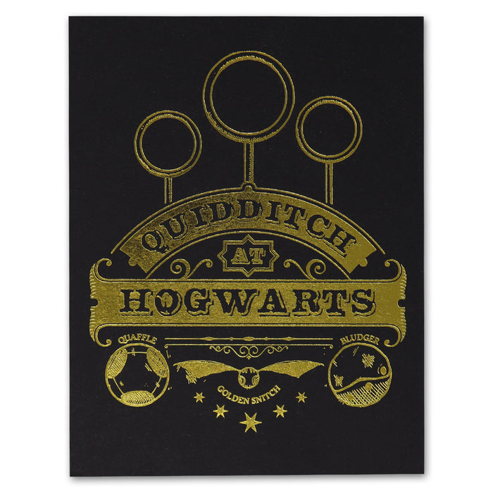 productImage-19983-harry-potter-limited-edition-goldener-schnatz-pin-3.jpg